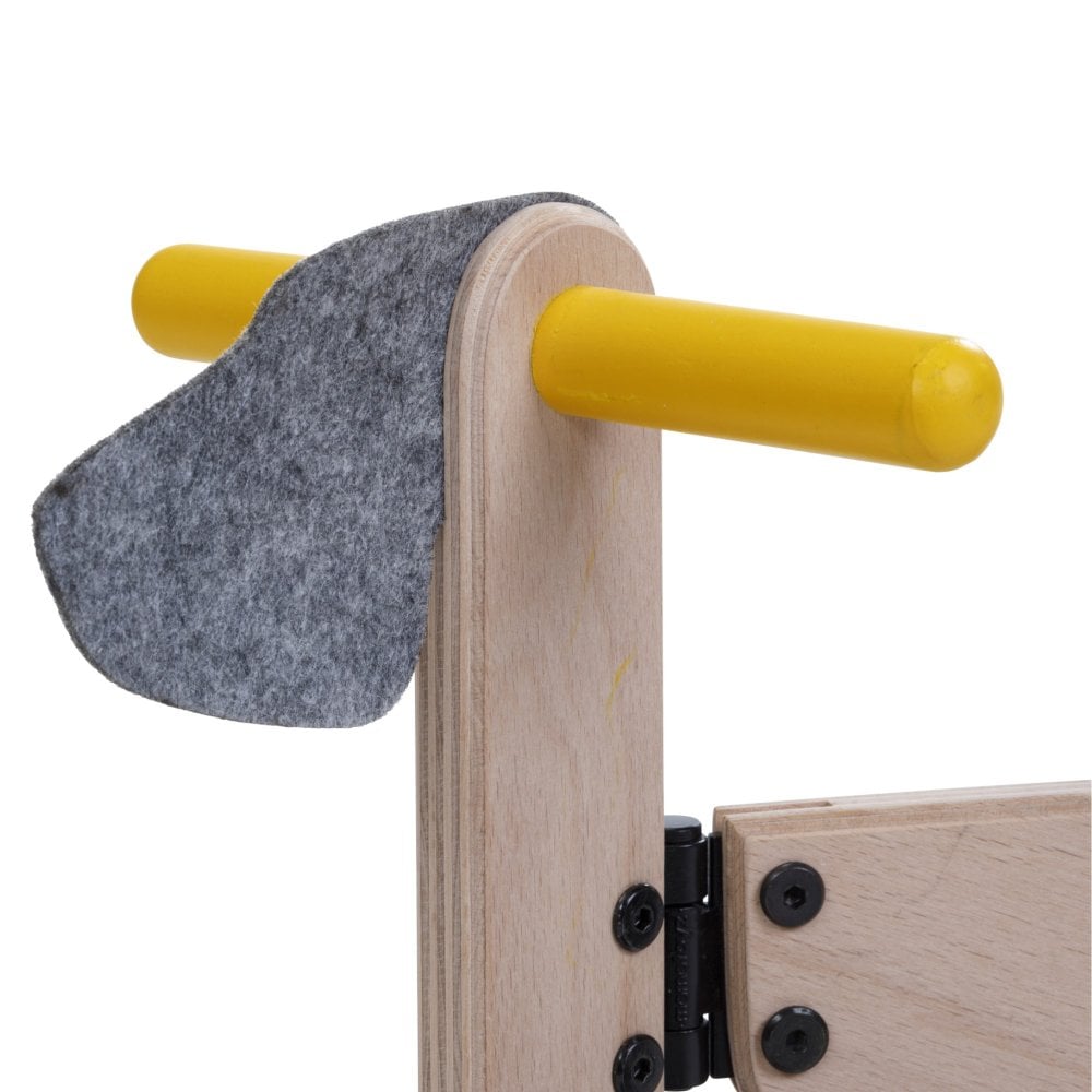 Buy Mamatoyz Mini Bike | for kids by Learning Bugs UK