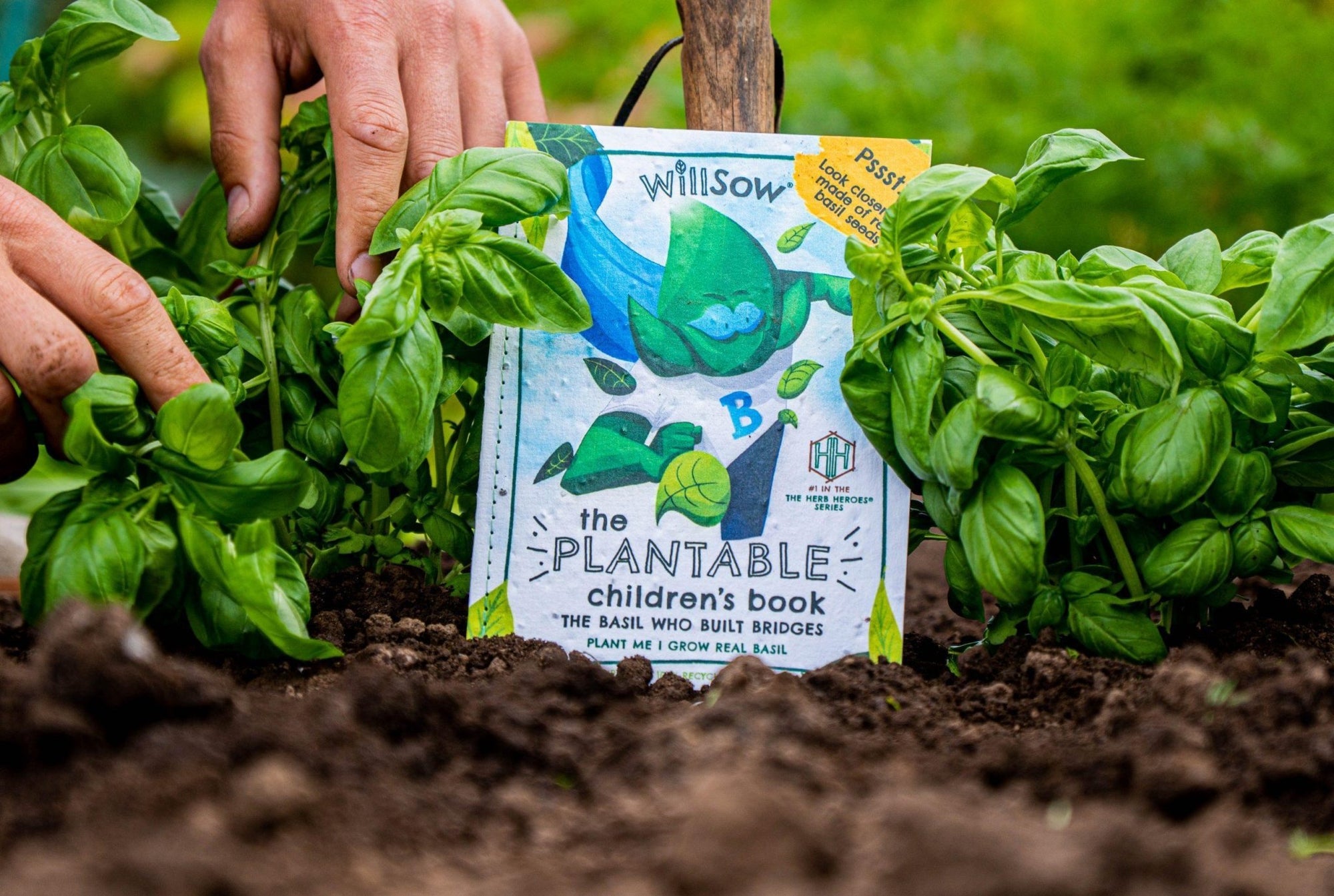 Willsow Children's Plantable Book - The Basil Who Built Bridges - Grow-Your-Own Basil Eco Storybook by Willsow - Learning Bugs UK
