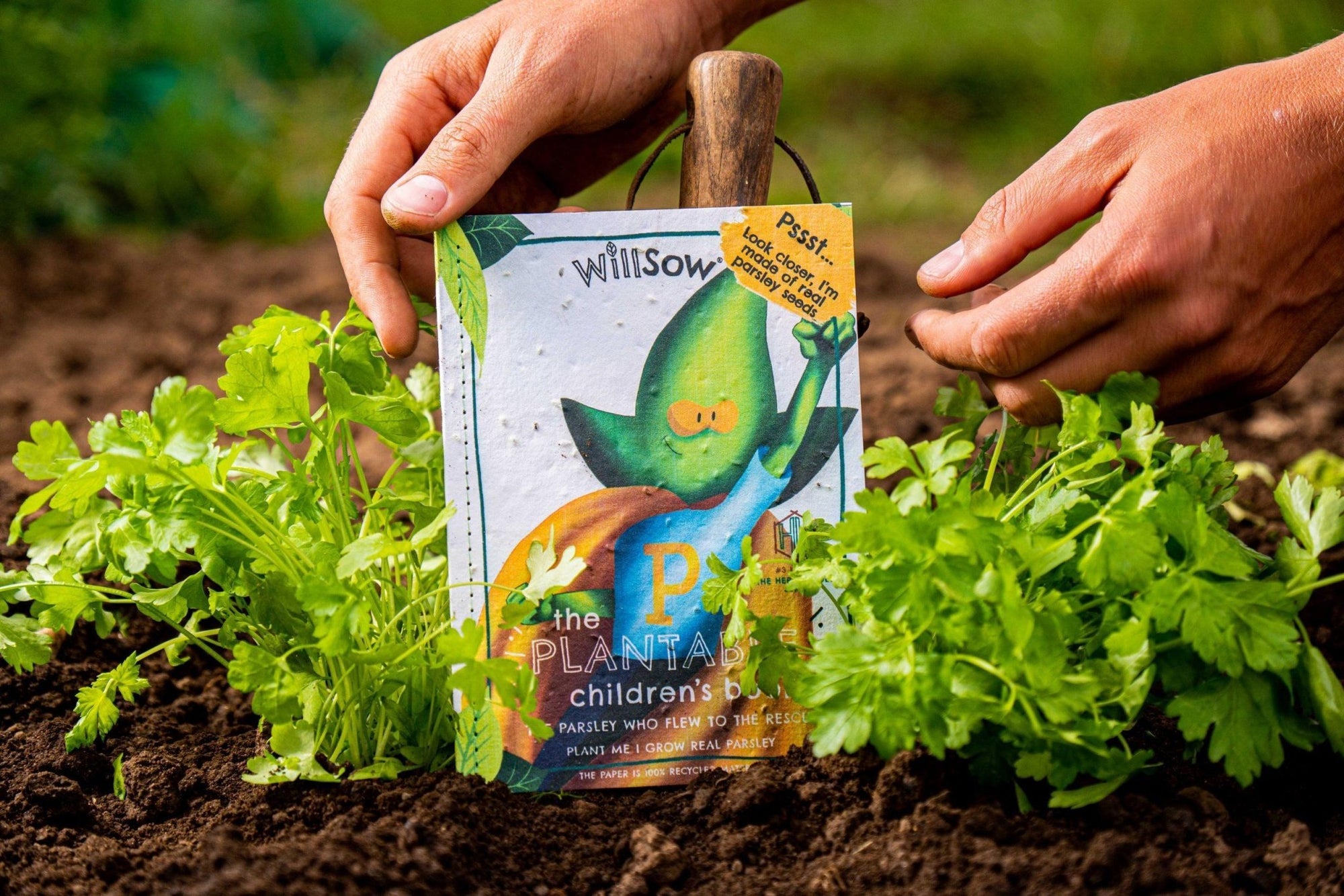 Willsow Children’s Plantable Book - The Parsley Who Flew to the Rescue