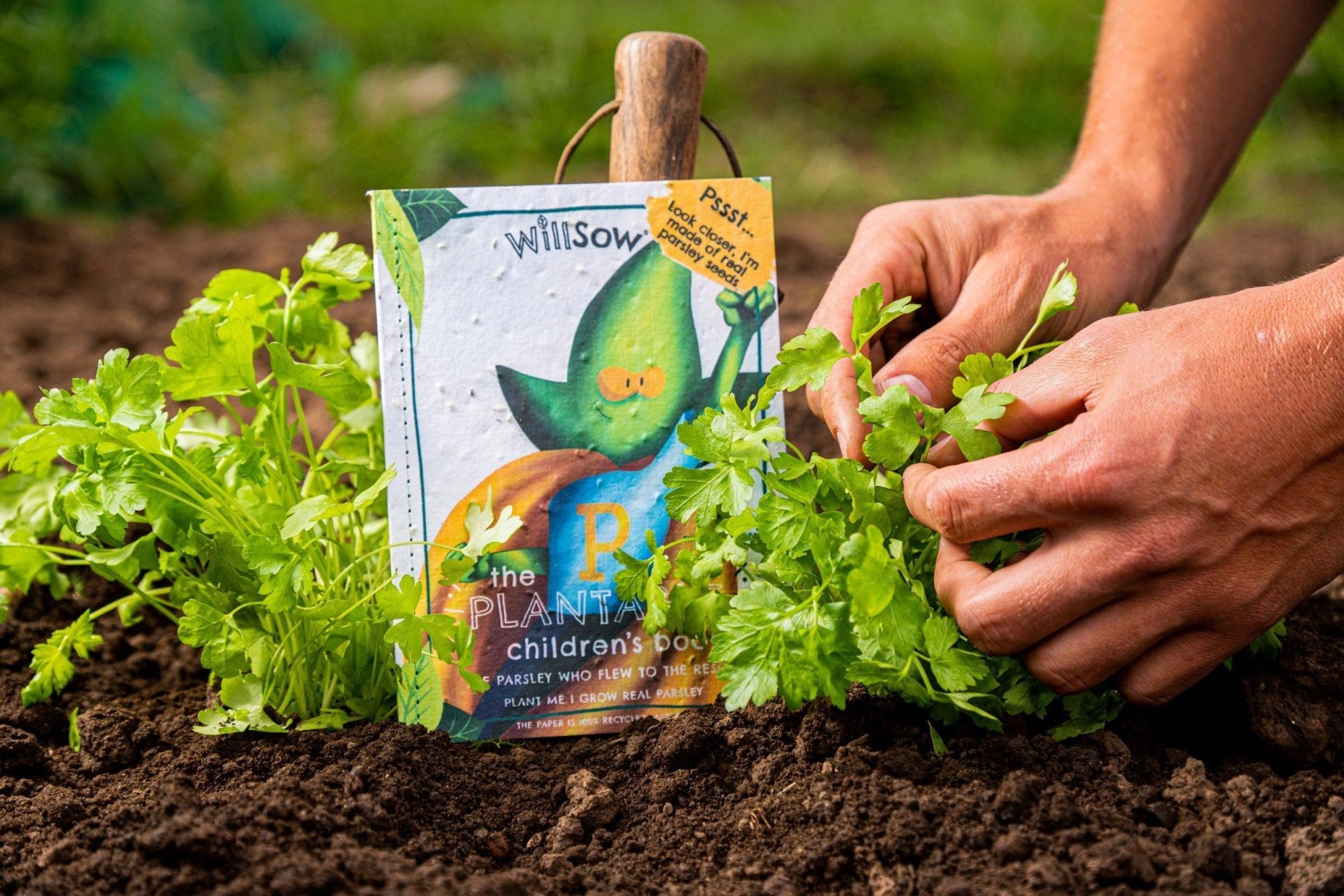 Willsow Children’s Plantable Book - The Parsley Who Flew to the Rescue