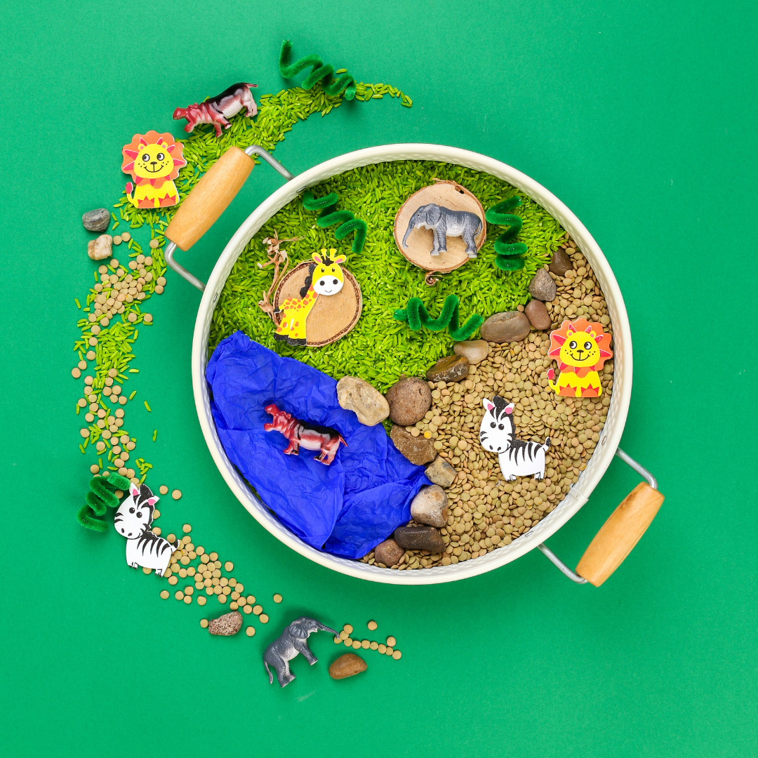 Safari Sensory Kit – Wild Animal Play Adventure