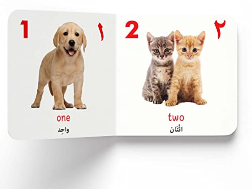 My First English-Arabic Learning Library: Bilingual Boxset