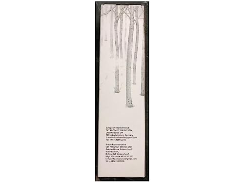 Set of 2 LED Birch Twig Trees - 24 Warm White Lights