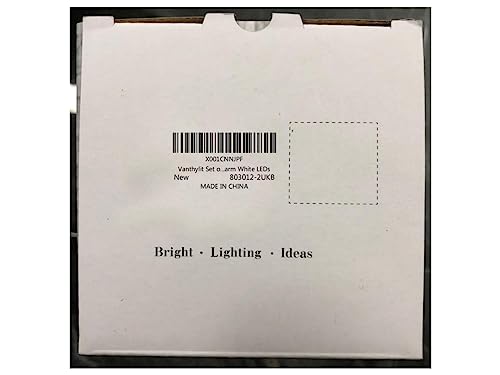 Set of 2 LED Birch Twig Trees - 24 Warm White Lights