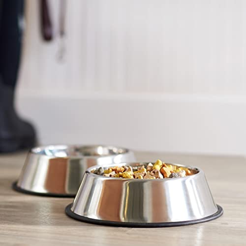 Amazon Basics Dog Bowls for Food and Water, Stainless Steel, 2 Count, Silver