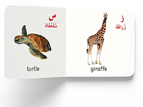 My First English-Arabic Learning Library: Bilingual Boxset