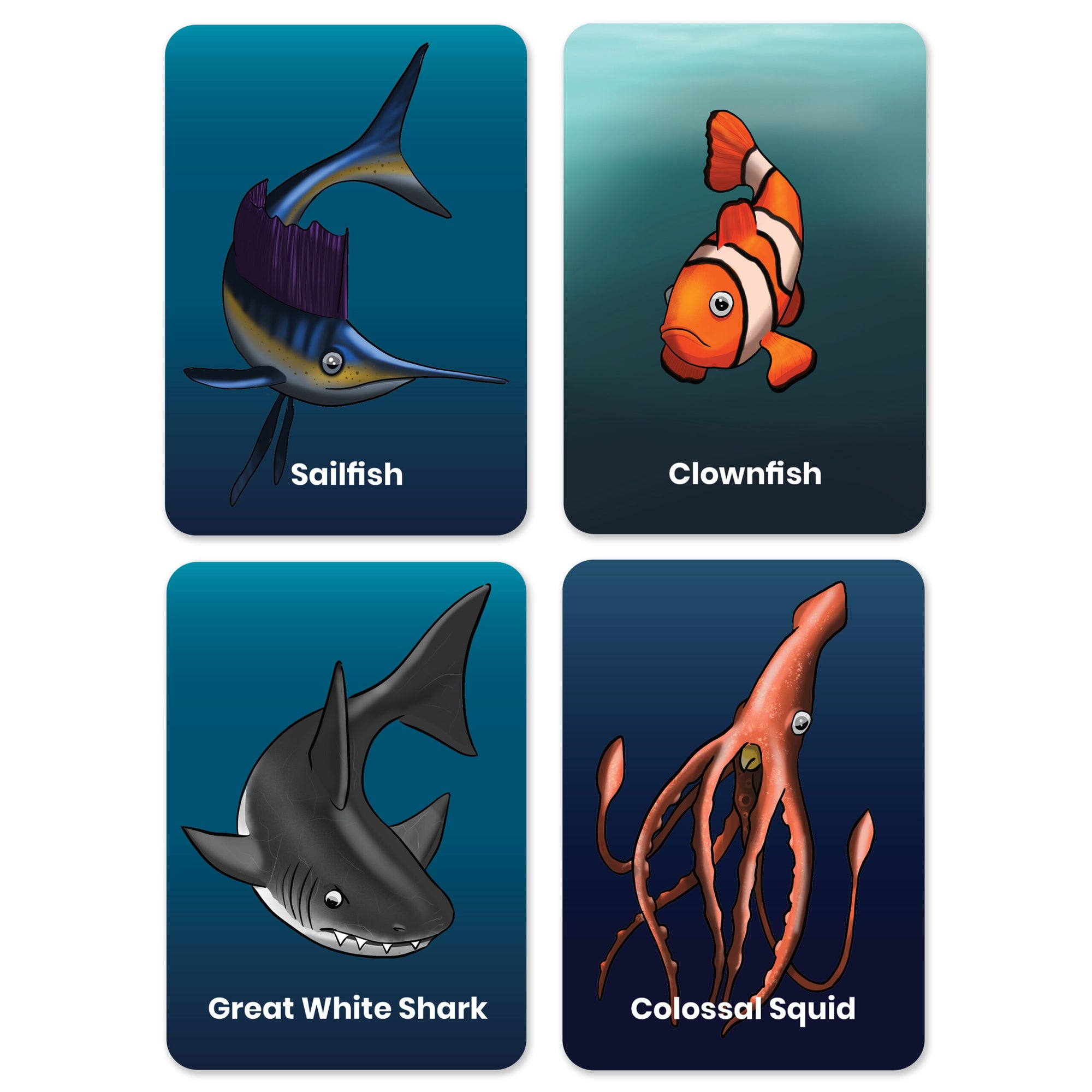 Happy Little Doers Oceans Memory Match + Snap Game by Happy Little Doers - Learning Bugs UK