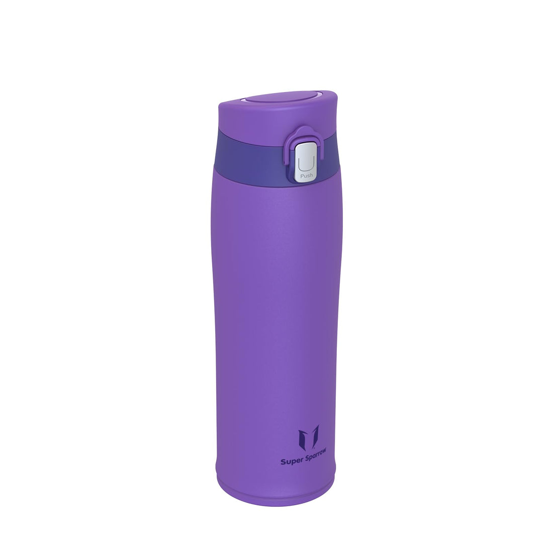 500ml Stainless Steel Insulated Water Bottle