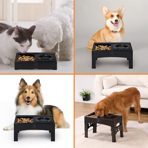 HAPPY HACHI Raised Dog Bowl,2-in-1 Elevated Dog Bowls Slow Feeder,4 Height Adjustable With Slow Feeder Dog Bowl