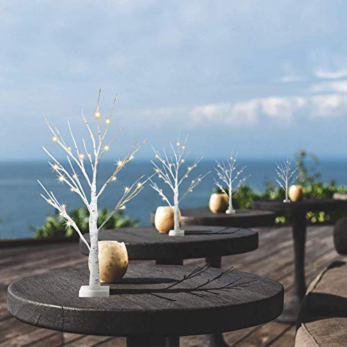 Set of 2 LED Birch Twig Trees - 24 Warm White Lights