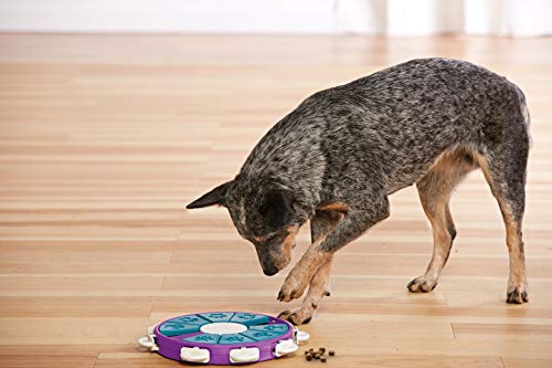 Outward Hound Nina Ottosson Dog Twister Interactive Treat Puzzle Dog Toy, Advanced