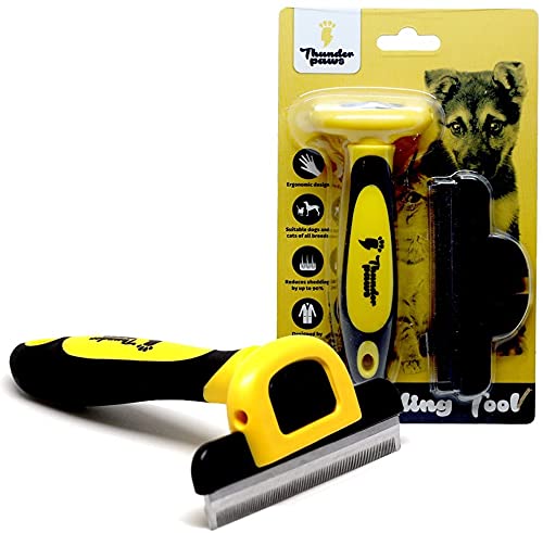 Best Professional Deshedding Tool and Pet Grooming Brush – D-Shedz by Thunderpaws for Small, Medium and Large Breeds of Dogs and Cats
