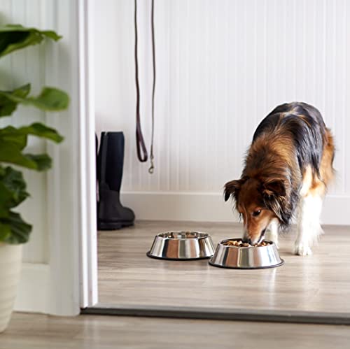 Amazon Basics Dog Bowls for Food and Water, Stainless Steel, 2 Count, Silver