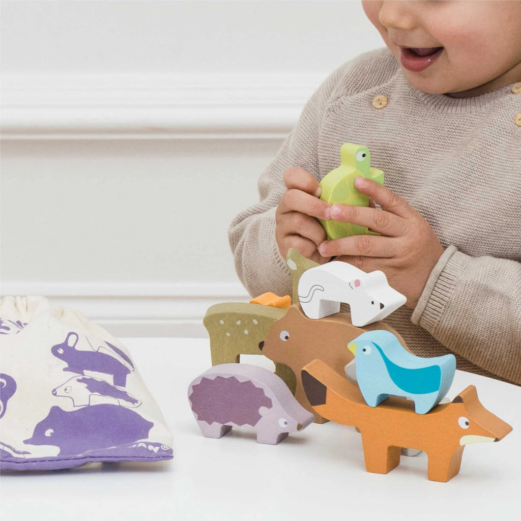 Le Toy Van Forest Stacker and Bag by Le Toy Van - Learning Bugs UK