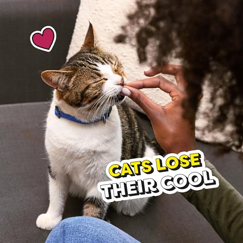TEMPTATIONS Classic Crunchy and Soft Cat Treats Feline Favorite Variety Pack, 3 oz. Pouches,4 Count