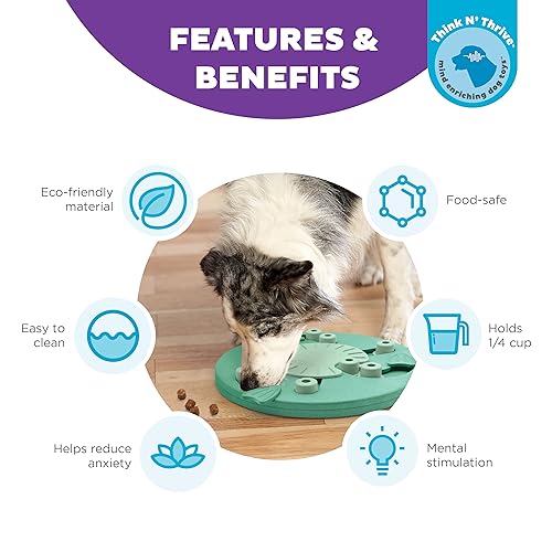 Outward Hound Nina Ottosson Dog Worker Green Interactive Treat Puzzle Dog Toy