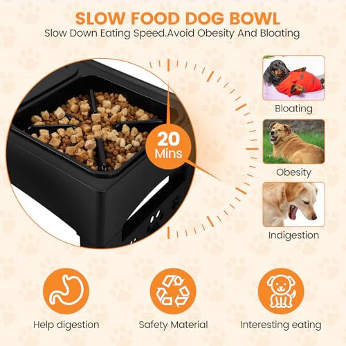 HAPPY HACHI Raised Dog Bowl,2-in-1 Elevated Dog Bowls Slow Feeder,4 Height Adjustable With Slow Feeder Dog Bowl