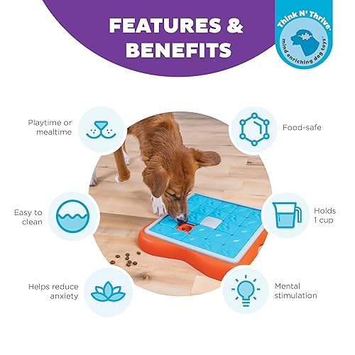 Outward Hound Nina Ottosson Challenge Slider Interactive Treat Puzzle Dog Toy, Advanced