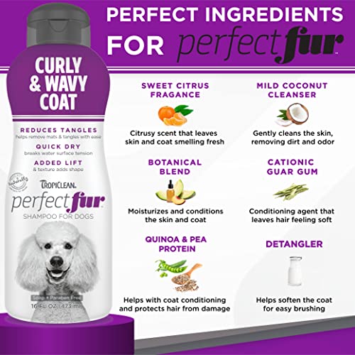 TropiClean PerfectFur Dog Shampoo - Used by Groomers - Derived from Natural Ingredients