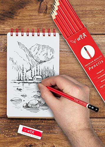 12 HB Hexagonal Pencils for Kids