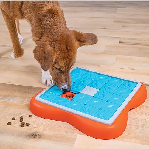Outward Hound Nina Ottosson Challenge Slider Interactive Treat Puzzle Dog Toy, Advanced