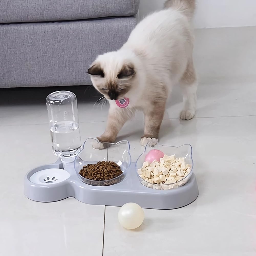 3 cat bowl clearance