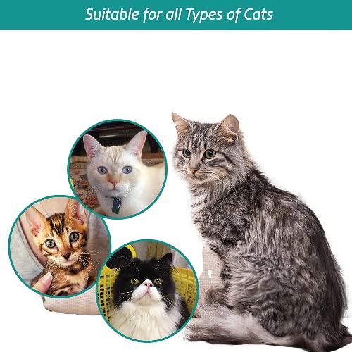 Posh Pooch Deshedding Cat Brush Tool, Bladeless Deshedding Malting Cat Deshedder Kitten Brush Tool To Remove Loose Hair & Help Cat Shedding & Malting, Safe Alternative to Sharp Blades