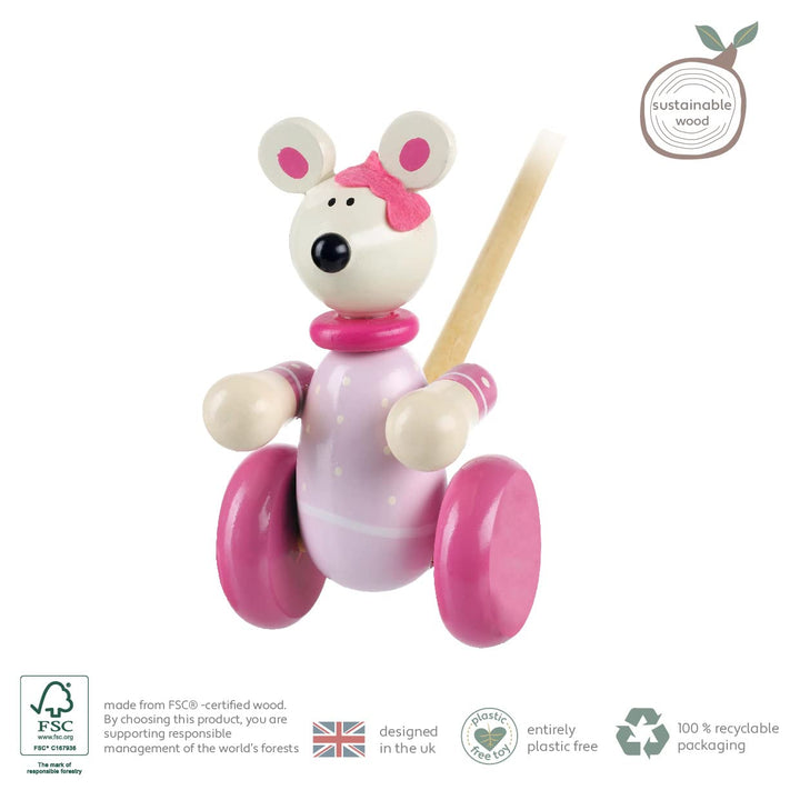 Animal Push and Pull Along for 1 Year Old, Wooden Toys