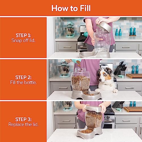 Petmate Pet Cafe Feeder Dog and Cat Feeder Pearlescent Colors 3 Sizes