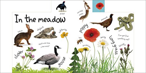 My First Nature Let's Go Exploring (My First Tabbed Board Book)