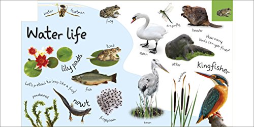 My First Nature Let's Go Exploring (My First Tabbed Board Book)