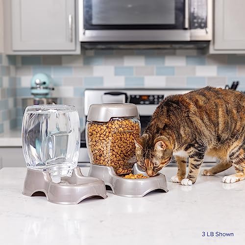 Petmate Pet Cafe Feeder Dog and Cat Feeder Pearlescent Colors 3 Sizes