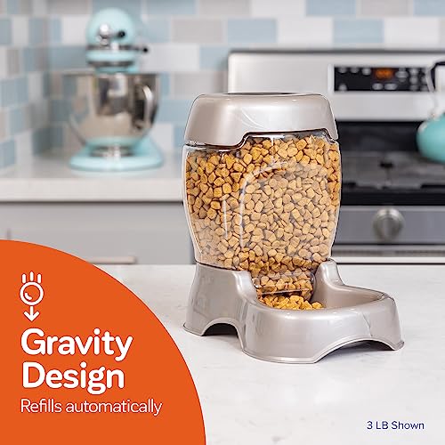 Petmate Pet Cafe Feeder Dog and Cat Feeder Pearlescent Colors 3 Sizes