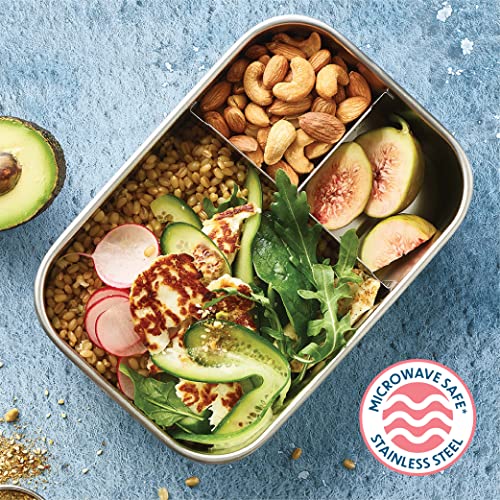 Blue Stainless Steel Bento Box,