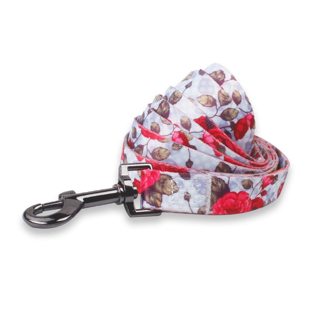 QQPETS Dog Harness Leash Set Adjustable Heavy Duty No Pull Halter Harnesses for Small Medium Large Breed Dogs Back Clip Anti-Twist Perfect for Walking (XS(12"-18" Chest Girth), Rose)