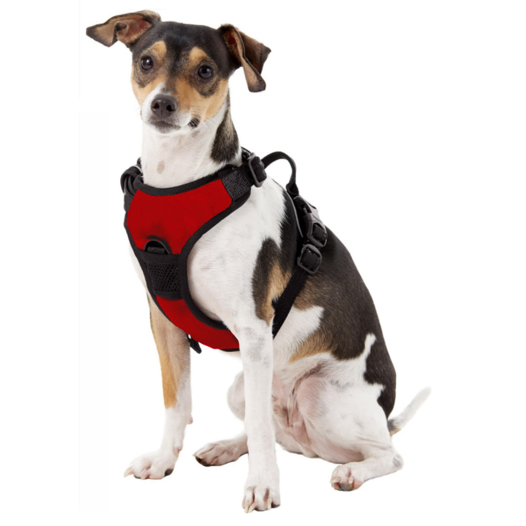 Littlearth Unisex-Adult NCAA Georgia Bulldogs Front Clip Pet Harness, Team Color, Small