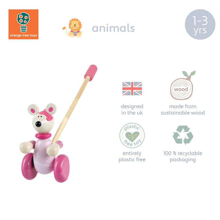 Animal Push and Pull Along for 1 Year Old, Wooden Toys