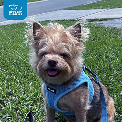 Voyager Step-in Air Dog Harness - All Weather Mesh Step in Vest Harness for Small and Medium Dogs and Cats by Best Pet Supplies