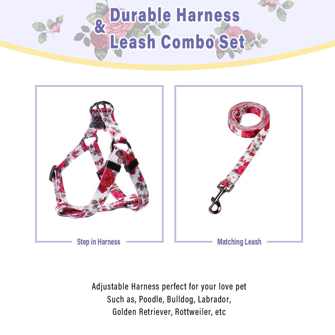 QQPETS Dog Harness Leash Set Adjustable Heavy Duty No Pull Halter Harnesses for Small Medium Large Breed Dogs Back Clip Anti-Twist Perfect for Walking (XS(12"-18" Chest Girth), Rose)