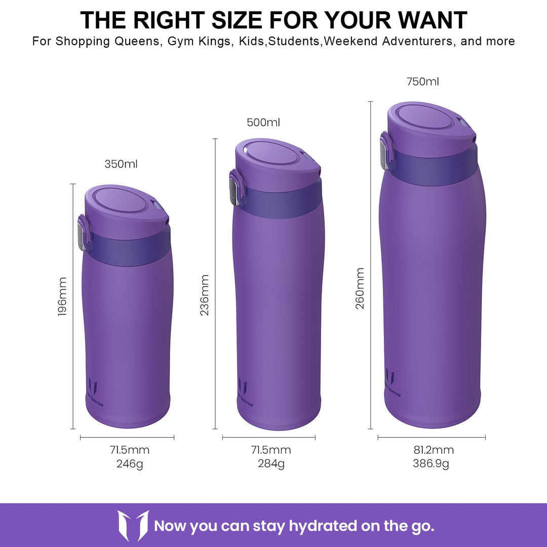 500ml Stainless Steel Insulated Water Bottle