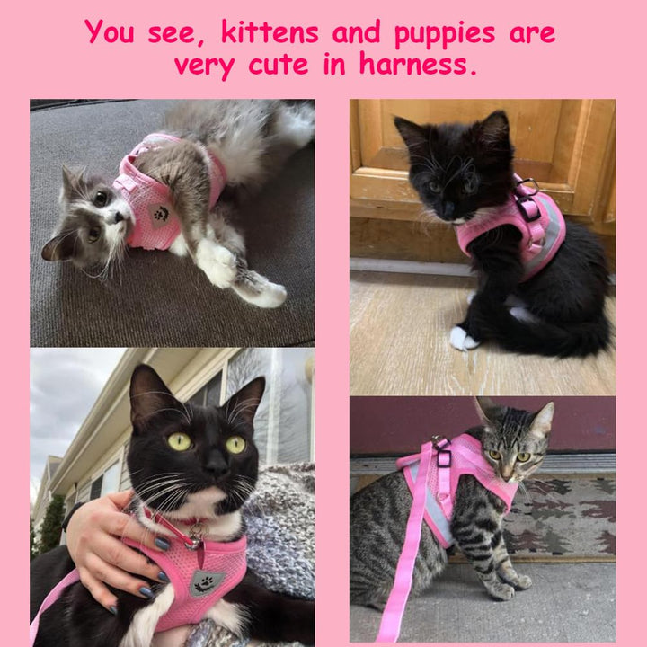 Cat Harnesses and Puppy Harness with Leashes Set, Escape Proof Cat Harness, Adjustable Reflective Soft Mesh Vest