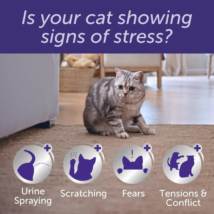 FELIWAY Optimum diffuser & 30 day refill, the best solution to ease cat anxiety, cat conflict and stress in the home