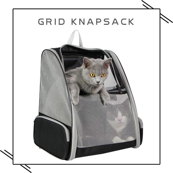 Texsens Innovative Traveler Bubble Backpack Pet Carriers for Cats and Dogs (Grey)