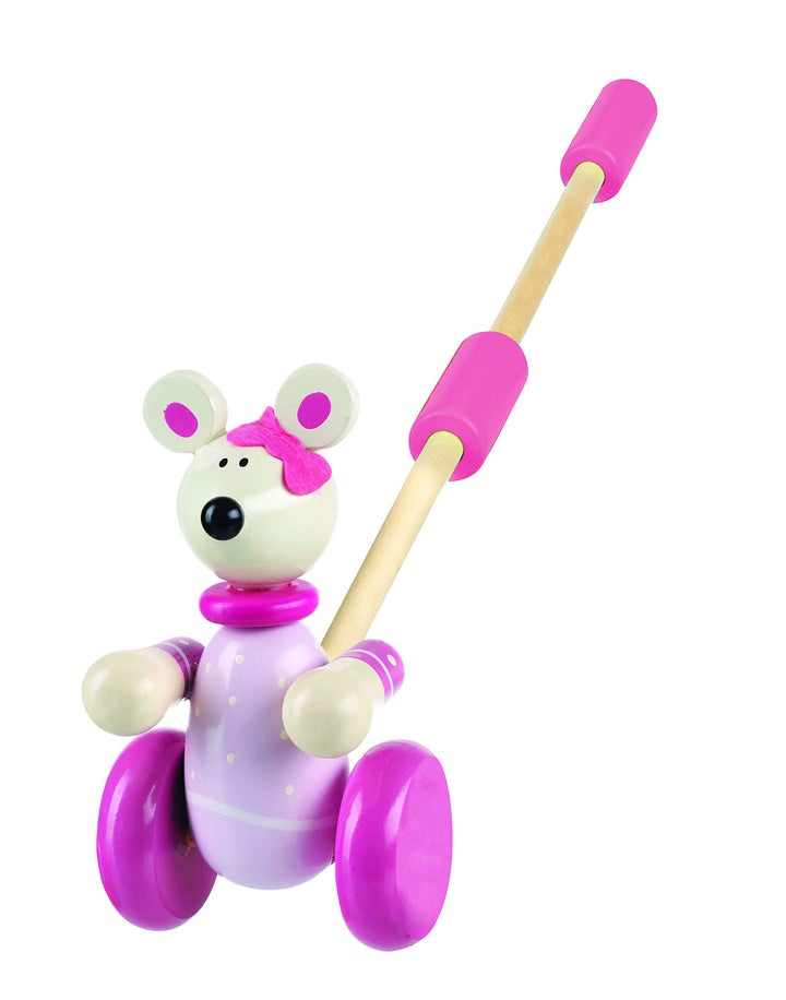Animal Push and Pull Along for 1 Year Old, Wooden Toys