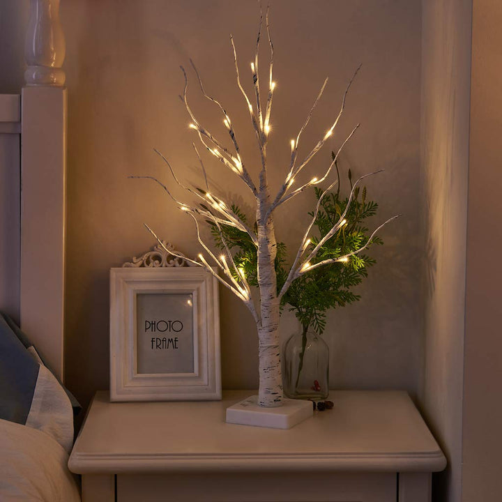 Set of 2 LED Birch Twig Trees - 24 Warm White Lights