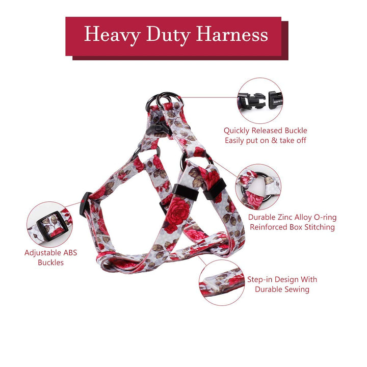 QQPETS Dog Harness Leash Set Adjustable Heavy Duty No Pull Halter Harnesses for Small Medium Large Breed Dogs Back Clip Anti-Twist Perfect for Walking (XS(12"-18" Chest Girth), Rose)