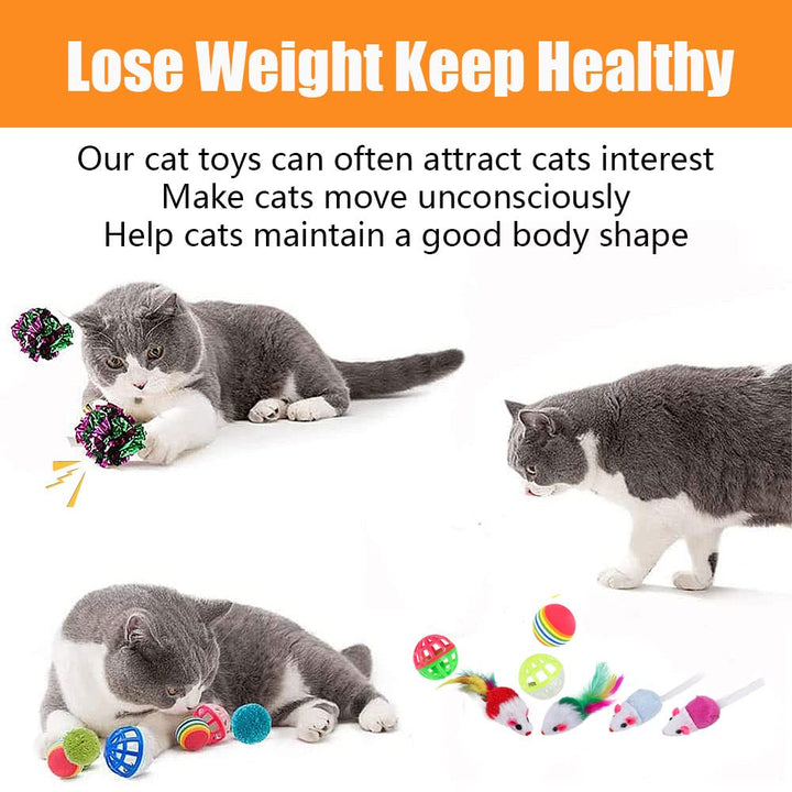 Speedy Panther 14 Pack Cat Toys Interactive for Indoor Cats Kitten Toy Fun Roller Exerciser 3 Level Cat Teaser Ball Toys Cat Feather Wand Toy