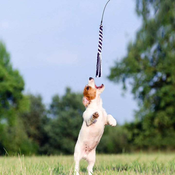 UEETEK Extendable Interactive Dog Toys Flirt Pole