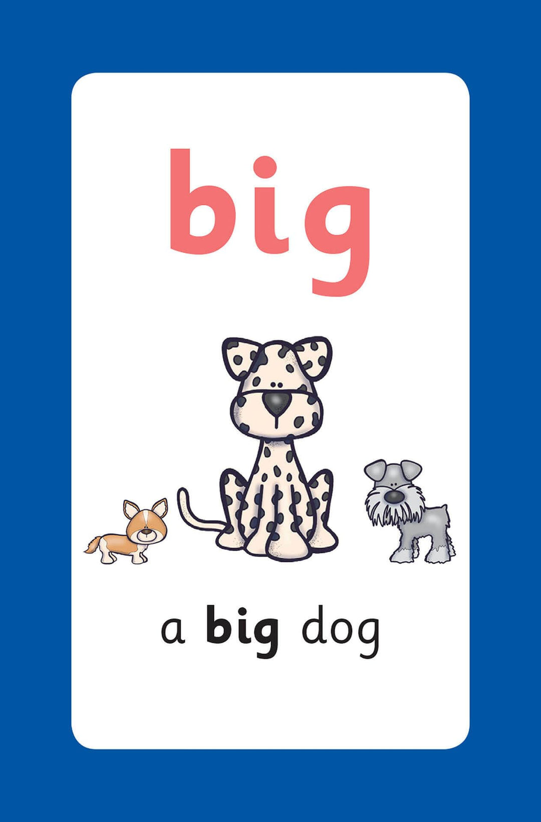 High-Frequency Words Flashcards for Reception