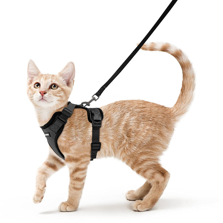 rabbitgoo Escape-Proof Cat Kitten Harness with Leash Set for Walking, Kitty Small Dog Harness with Leash Adjustable Reflective Strips